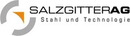 Logo Salzgitter AG in Hamburg
